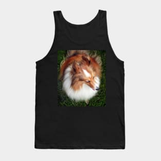 Shetland Sheep Dog Tank Top